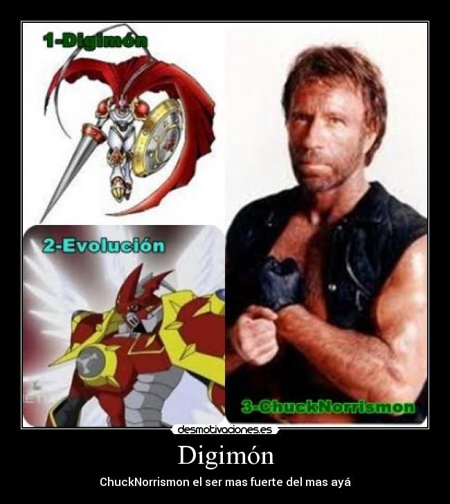 carteles chuck norris desmotivaciones