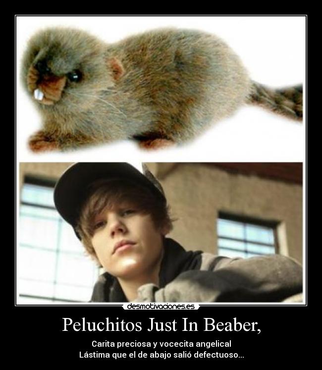 Peluchitos Just In Beaber, -