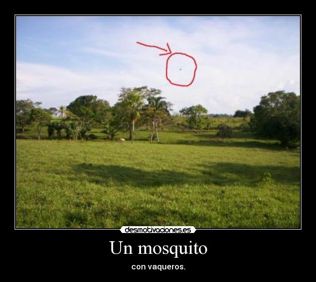 Un mosquito -