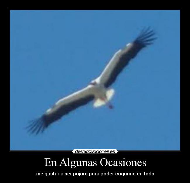 En Algunas Ocasiones -