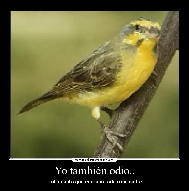 Yo también odio.. -