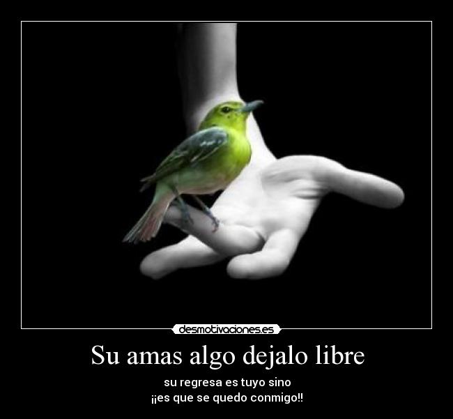 carteles regresa tuyo sino es que quedo conmigo desmotivaciones