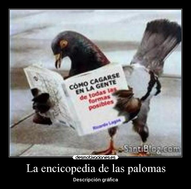 La encicopedia de las palomas - 