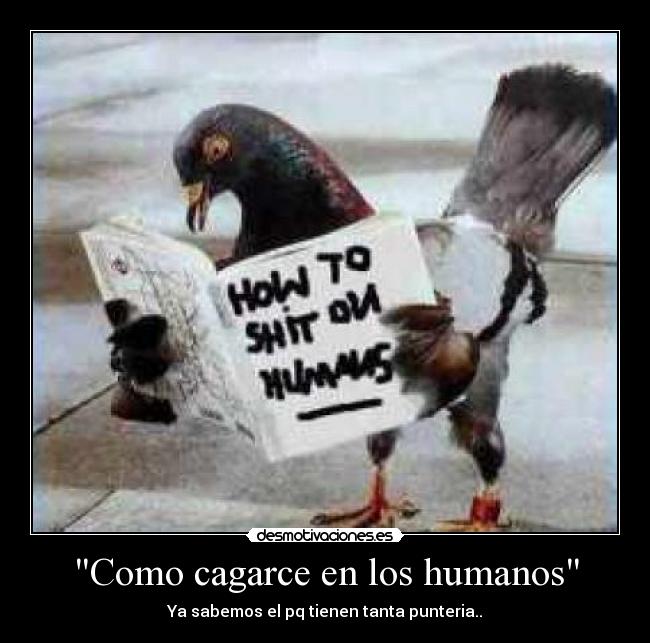 Como cagarce en los humanos - Ya sabemos el pq tienen tanta punteria..