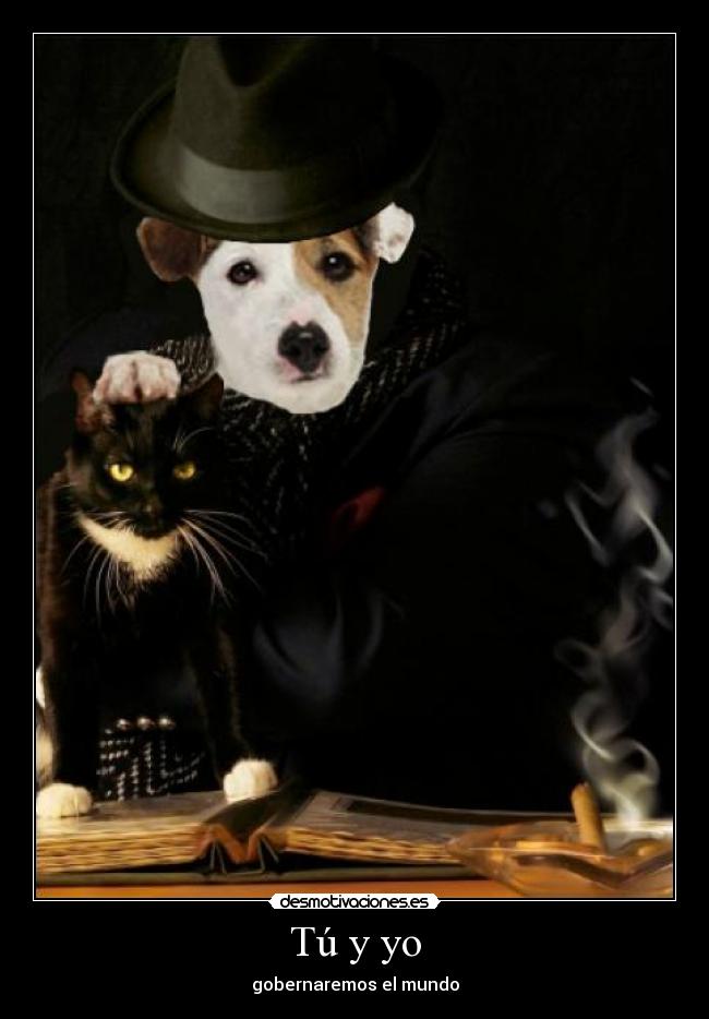 Tú y yo -