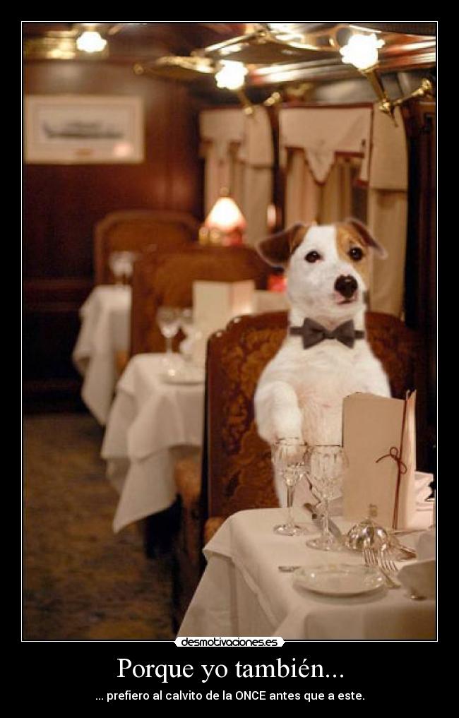 Porque yo también... - 