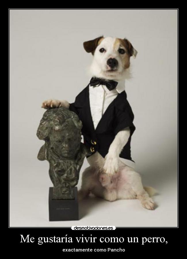Me gustaría vivir como un perro, - exactamente como Pancho