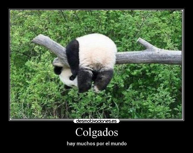 Colgados - hay muchos por el mundo