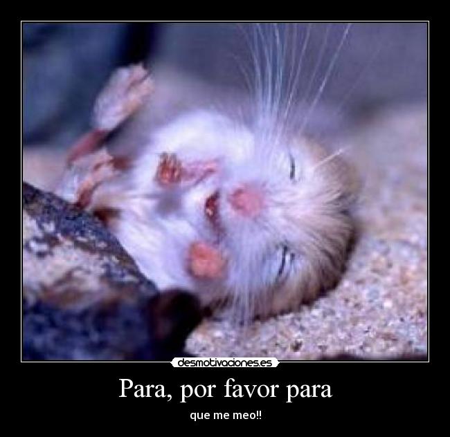 Para, por favor para - 