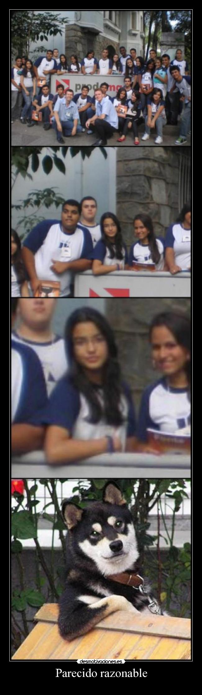 carteles parecido razonable desmotivaciones