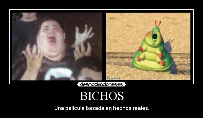 BICHOS -