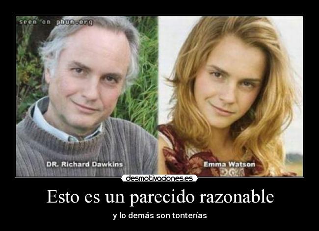 Esto es un parecido razonable - 