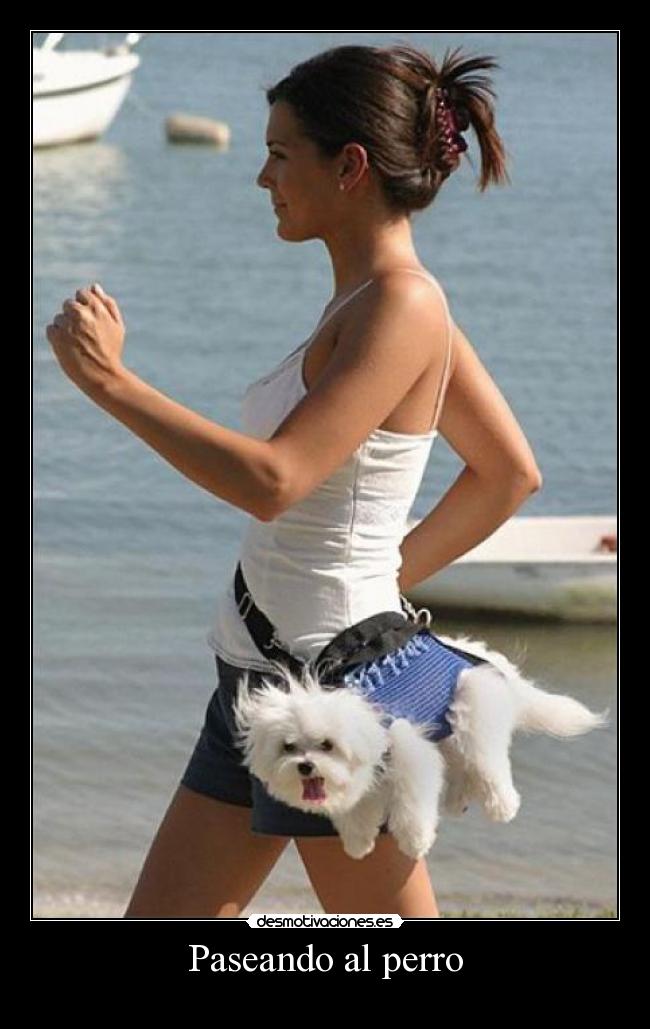 Paseando al perro - 