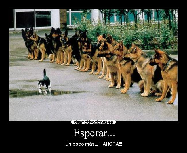 Esperar... -
