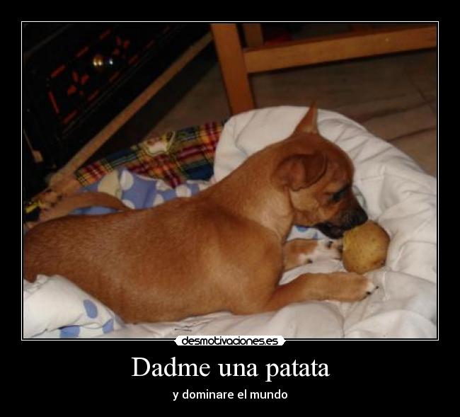 Dadme una patata - y dominare el mundo