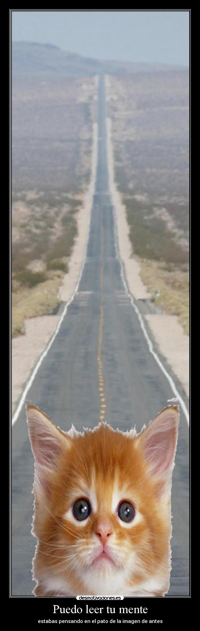 Puedo leer tu mente -