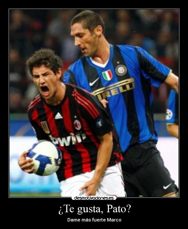 carteles marco materazzi matrix desmotivaciones