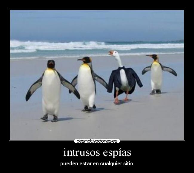 intrusos espías - 