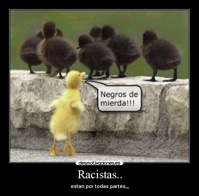 Racistas.. -