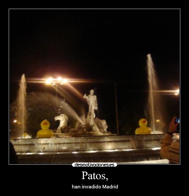 Patos, - 