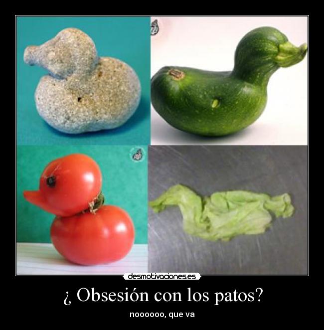 carteles patos desmotivaciones