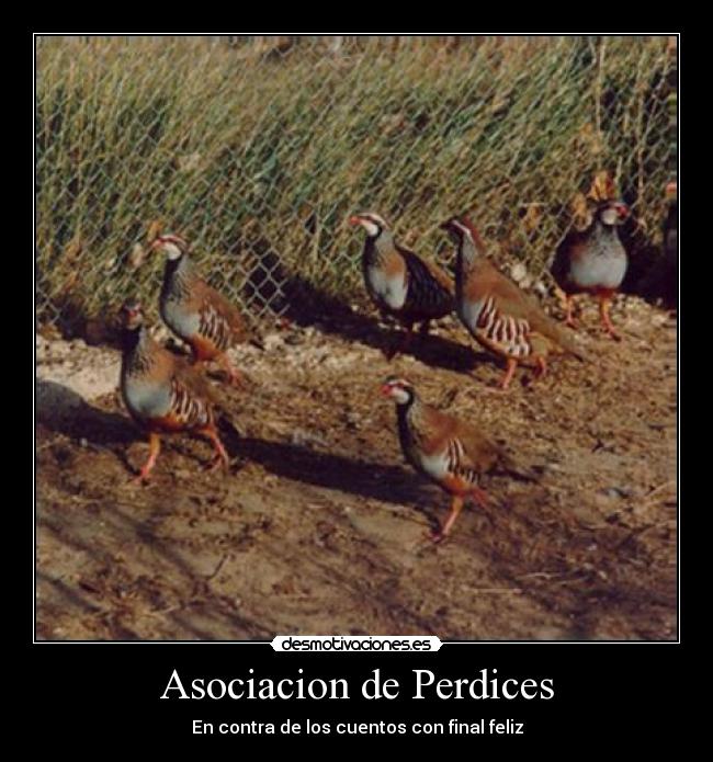 Asociacion de Perdices - 