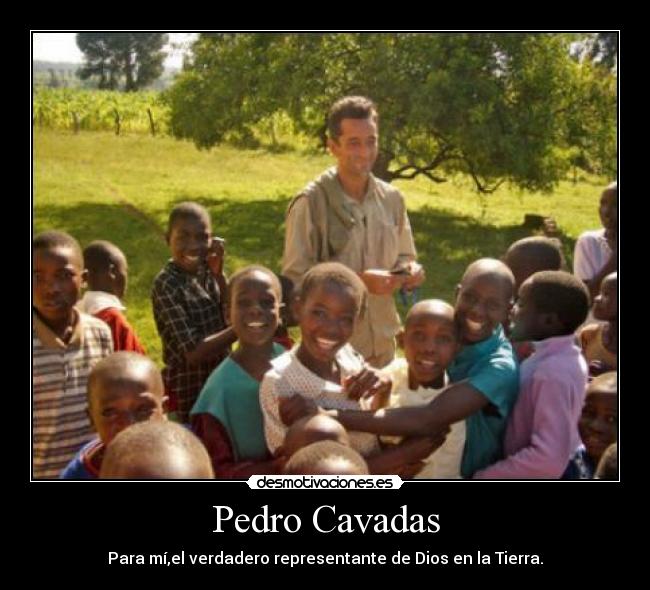Pedro Cavadas - 