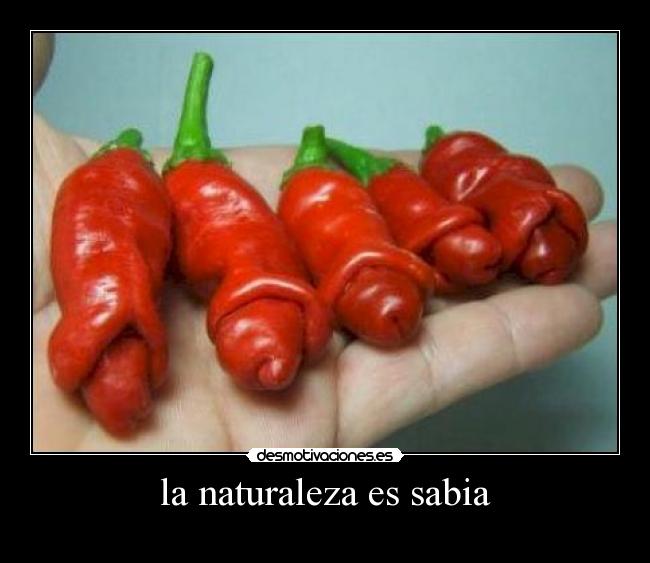 carteles naturaleza pimientos desmotivaciones