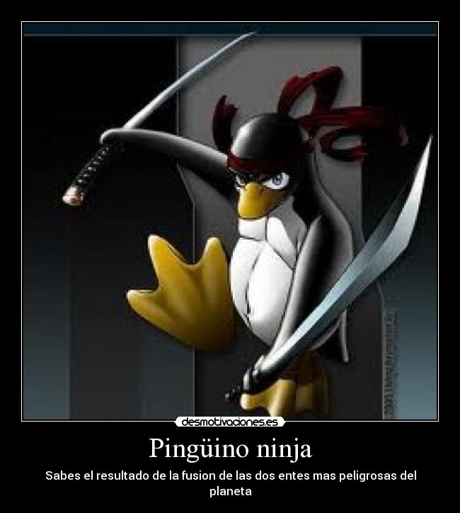 Pingüino ninja - Sabes el resultado de la fusion de las dos entes mas peligrosas del planeta