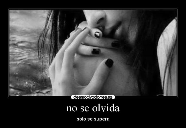 carteles desamor desmotivaciones