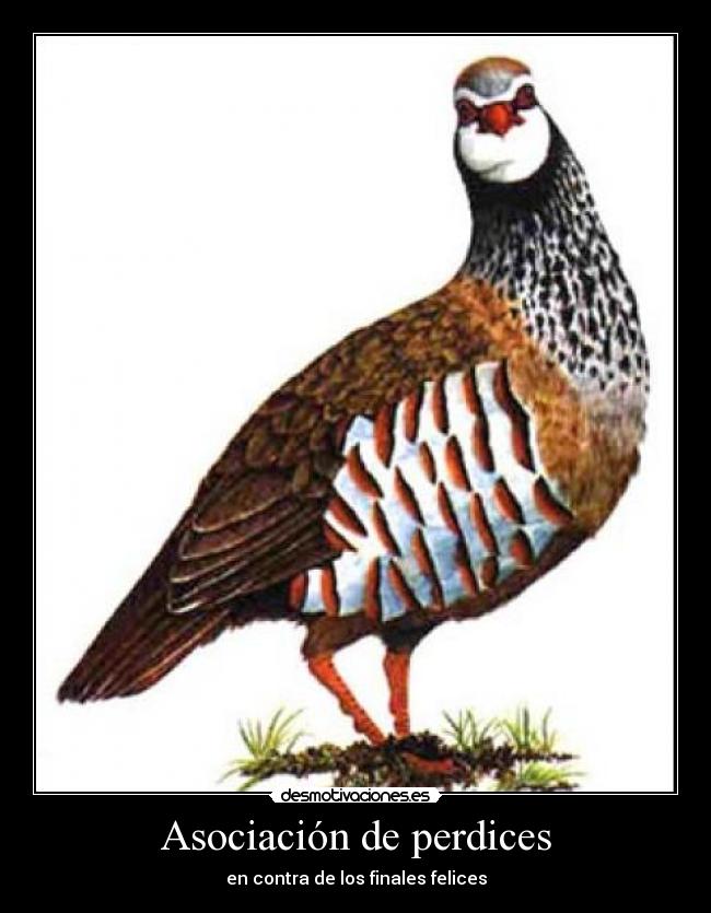 Asociación de perdices - en contra de los finales felices
