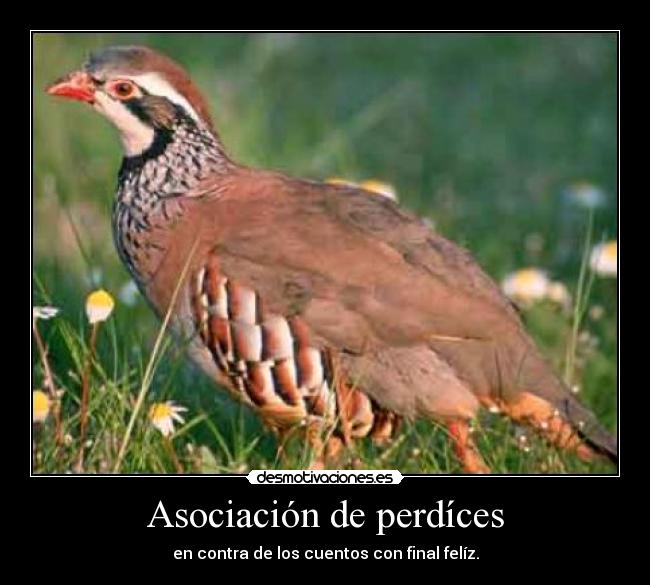 Asociación de perdíces - en contra de los cuentos con final felíz.