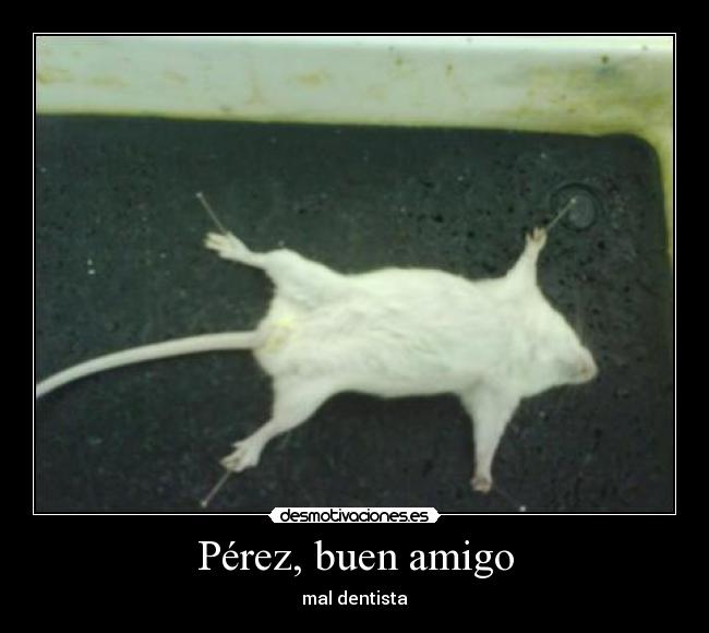 carteles perez buen amigo mal dentista desmotivaciones