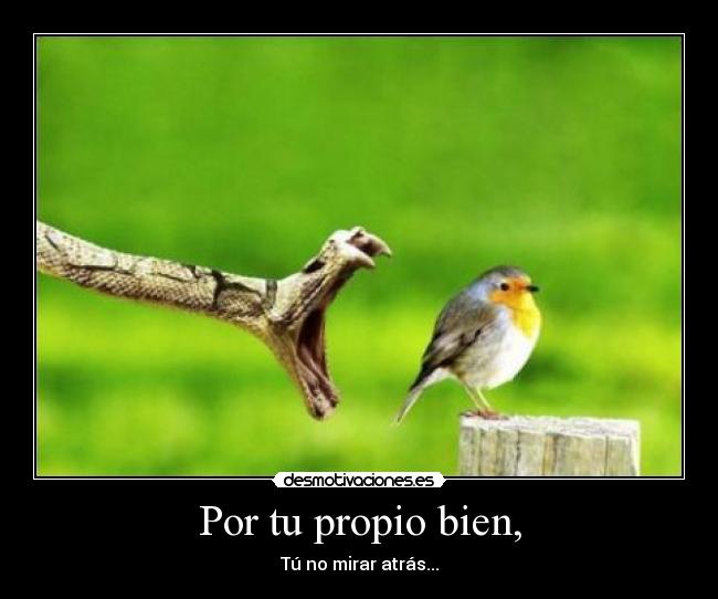 Por tu propio bien, - Tú no mirar atrás...