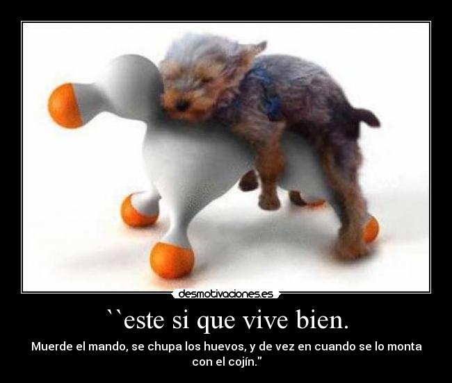 ``este si que vive bien. -