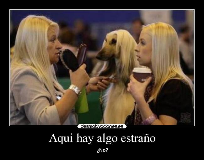 Aqui hay algo estraño -
