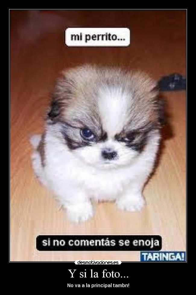 Y si la foto... -