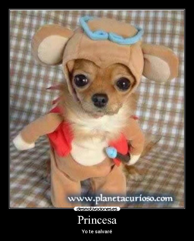 Princesa -