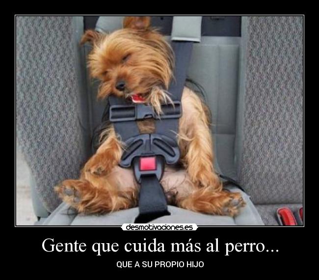 Gente que cuida más al perro... - 