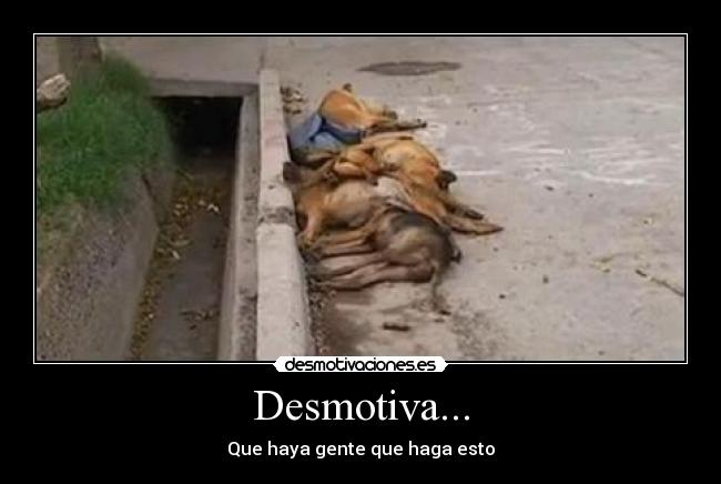 Desmotiva... - Que haya gente que haga esto