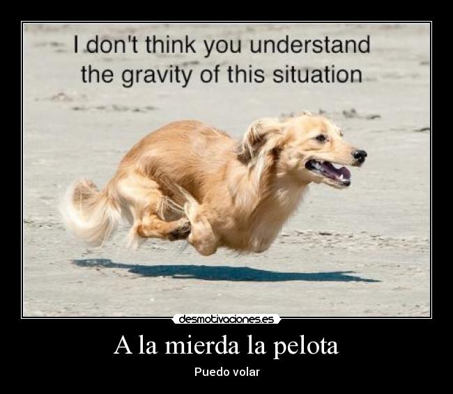 A la mierda la pelota - 