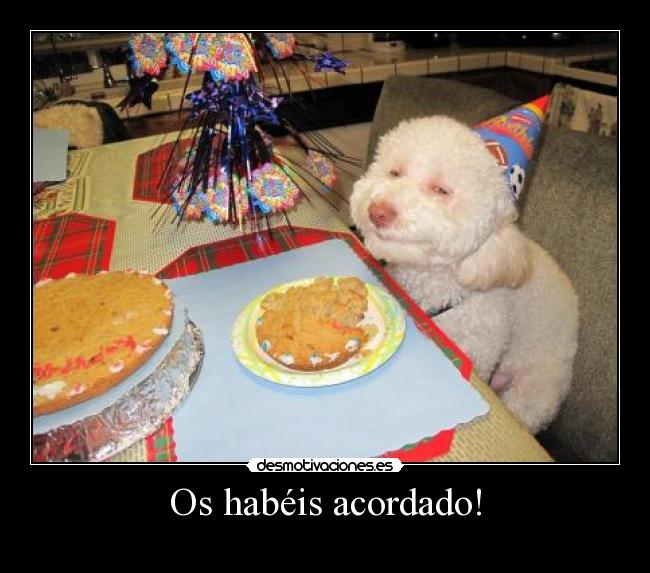 carteles pero fiesta desmotivaciones