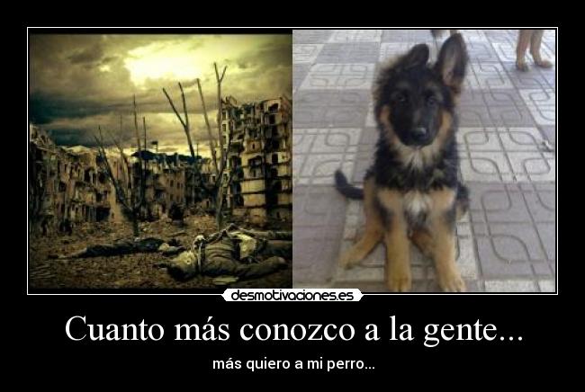 Cuanto más conozco a la gente... - 