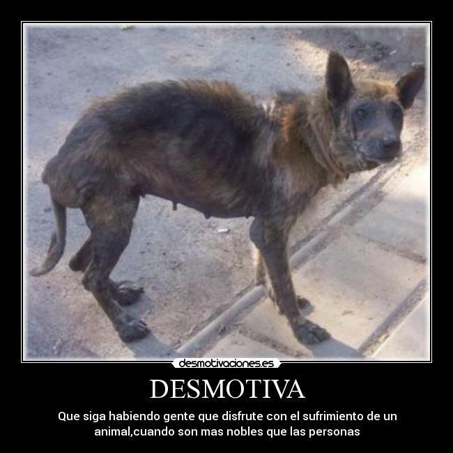DESMOTIVA - Que siga habiendo gente que disfrute con el sufrimiento de un
animal,cuando son mas nobles que las personas