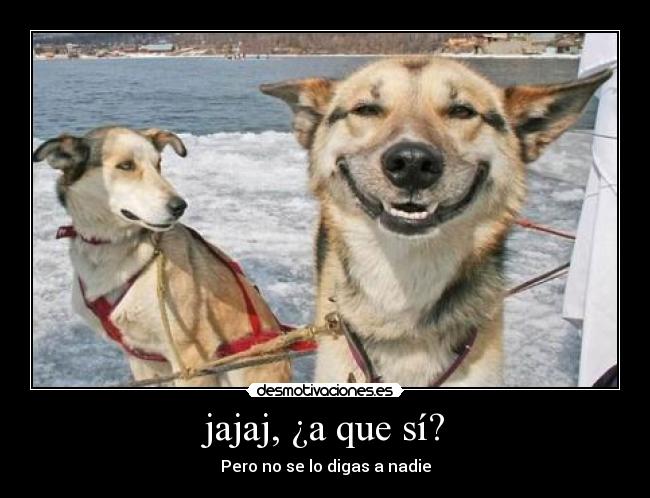 jajaj, ¿a que sí? - Pero no se lo digas a nadie