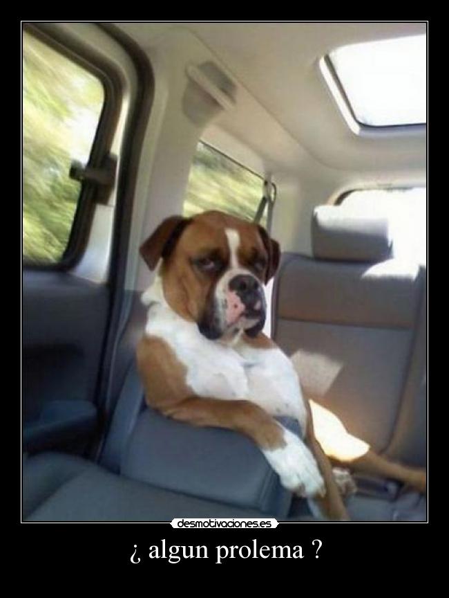 ¿ algun prolema ? -