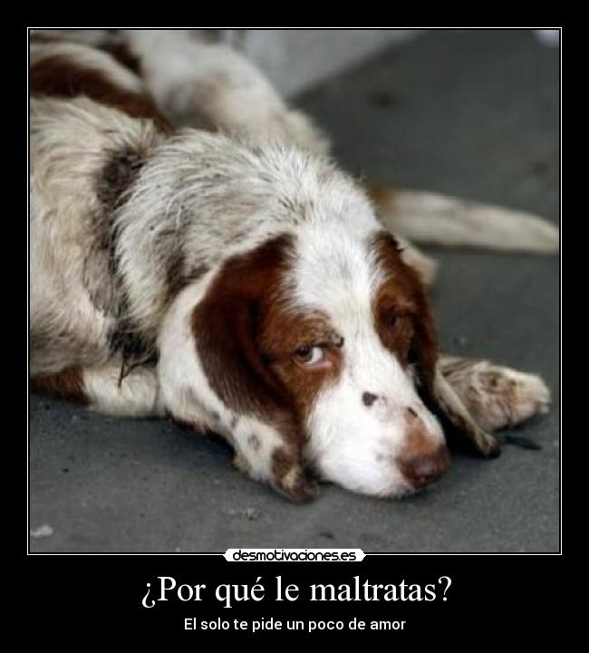 ¿Por qué le maltratas? -