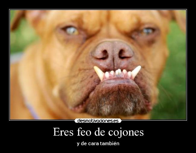 Eres feo de cojones - y de cara también