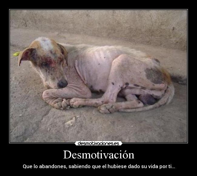 Desmotivación - Que lo abandones, sabiendo que el hubiese dado su vida por ti...