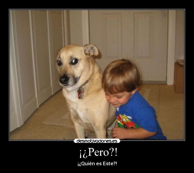 ¡¿Pero?! - 